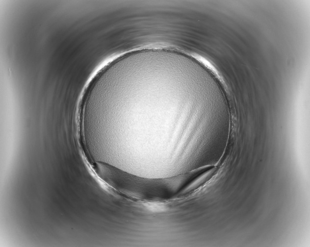 X0000084541046200703161624