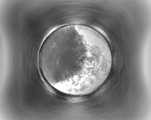 X0000084541047200703161624