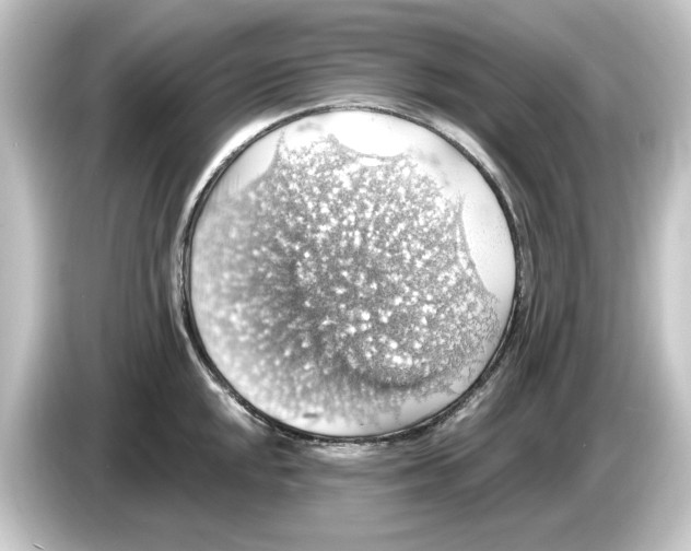 X0000084541048200703161624