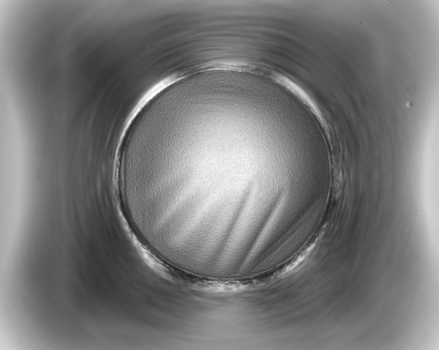 X0000084541050200703161624