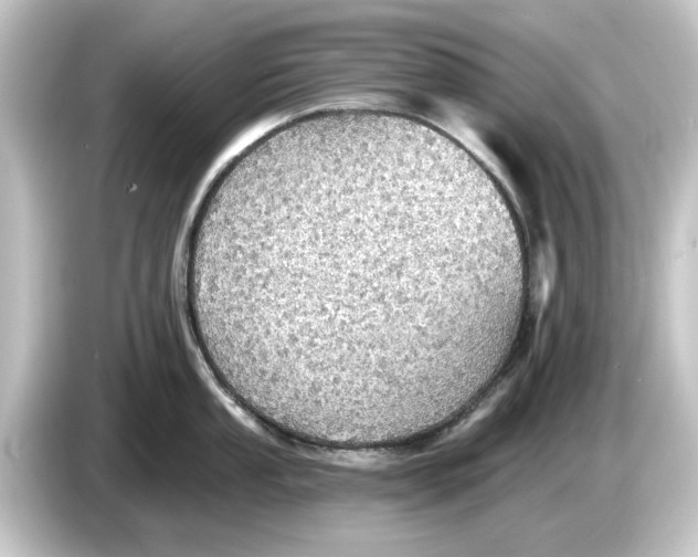 X0000084541053200703161624