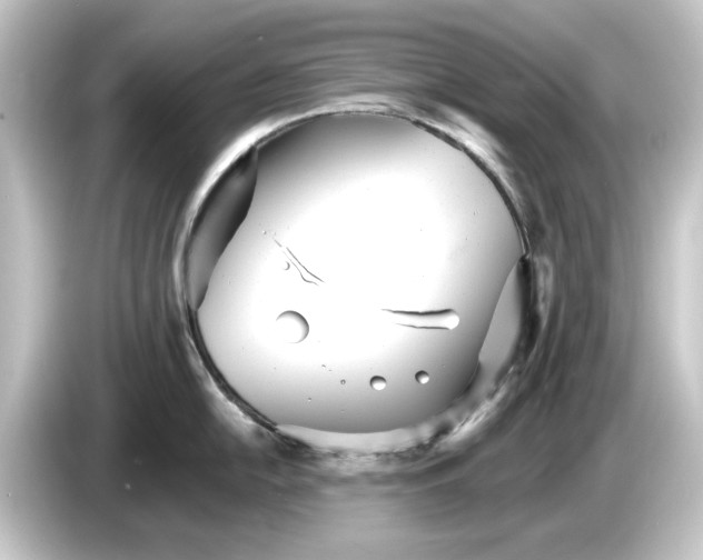 X0000084541054200703161624