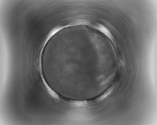 X0000084541055200703161624