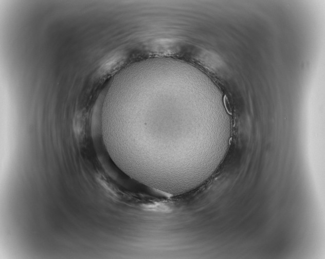 X0000084541058200703161624