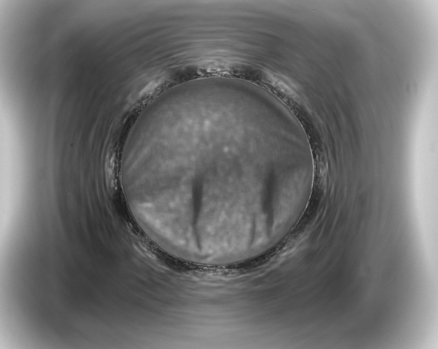 X0000084541060200703161623