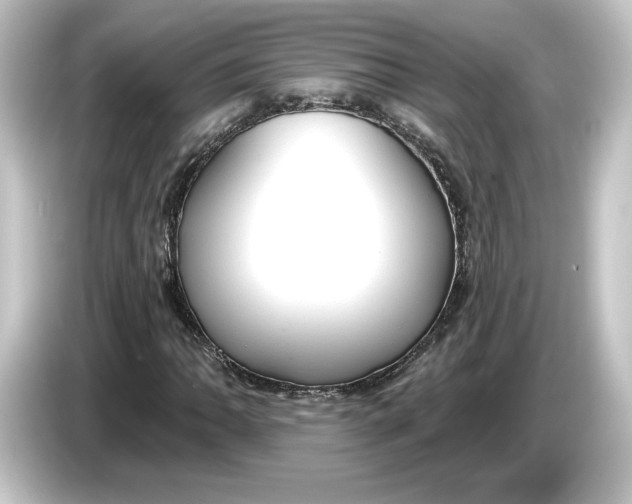 X0000084541062200703161623