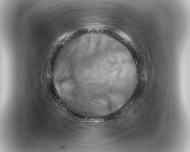 X0000084541063200703161623