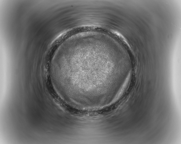 X0000084541064200703161623