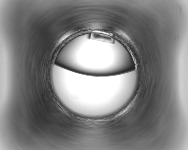 X0000084541065200703161623