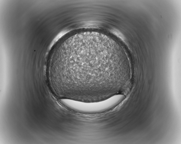 X0000084541066200703161623