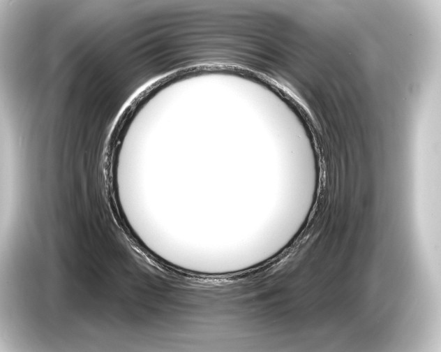 X0000084541068200703161623