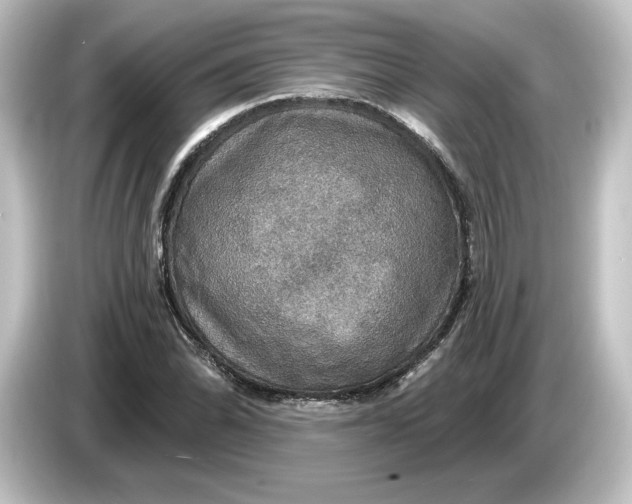 X0000084541070200703161623