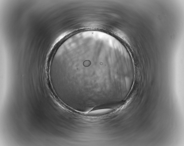 X0000084541071200703161623