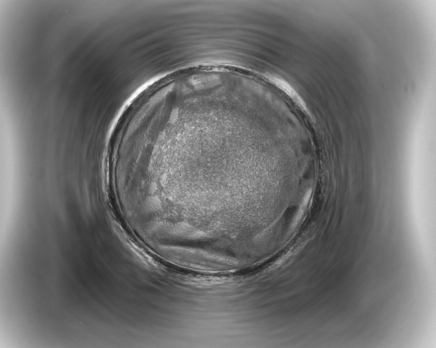 X0000084541076200703161623