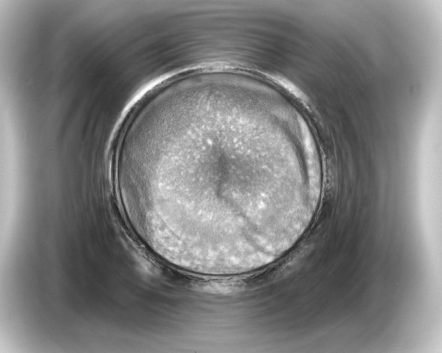 X0000084541078200703161623