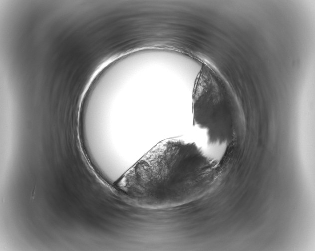 X0000084541079200703161623