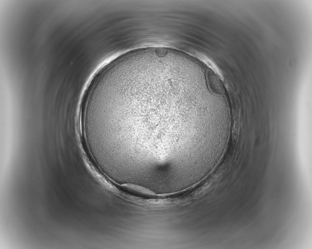 X0000084541080200703161623