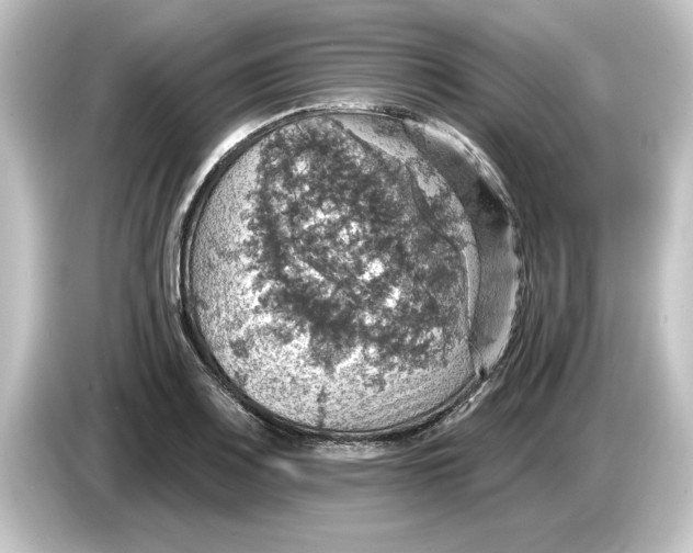 X0000084541083200703161623