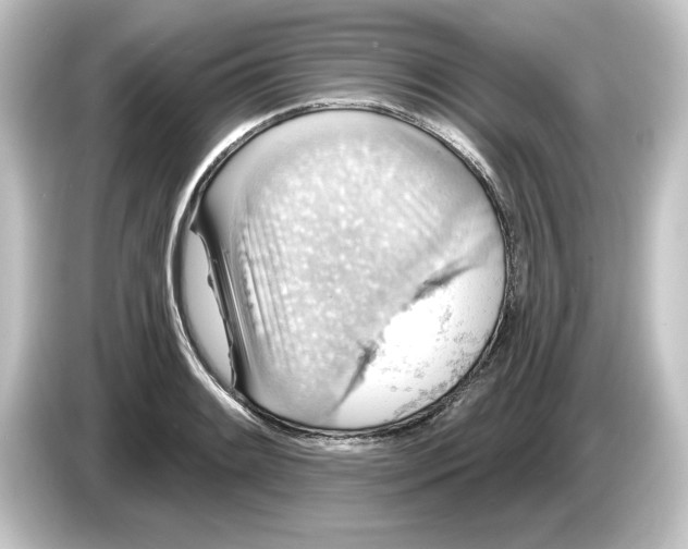 X0000084541084200703161623