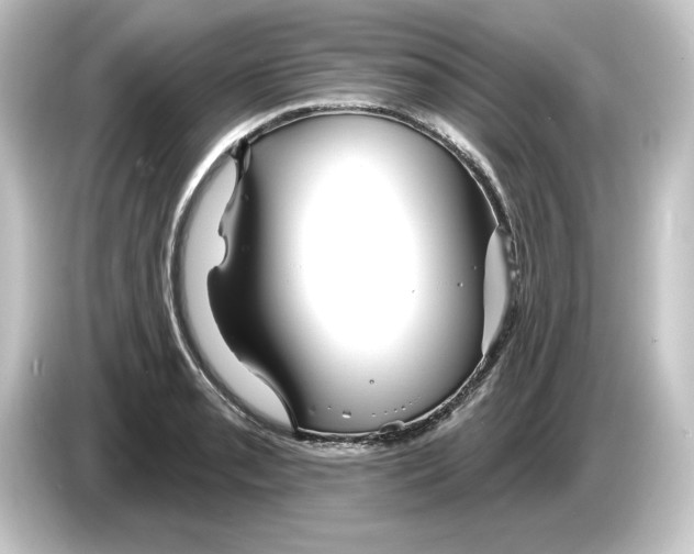 X0000084541085200703161623