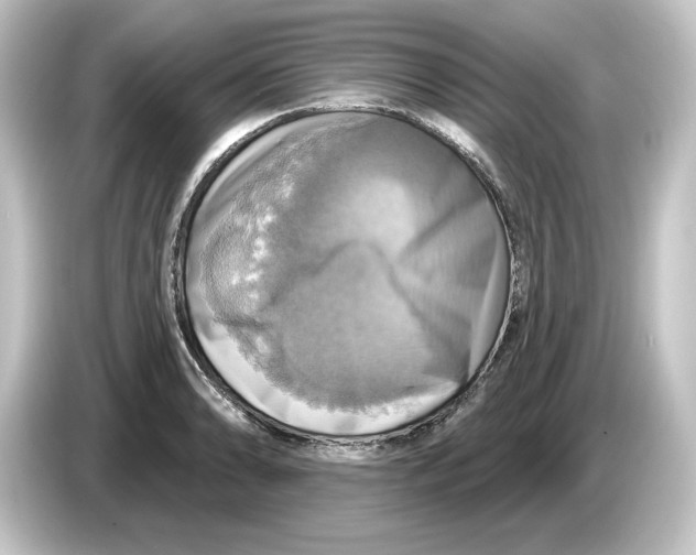 X0000084541086200703161623