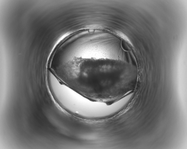 X0000084541087200703161623