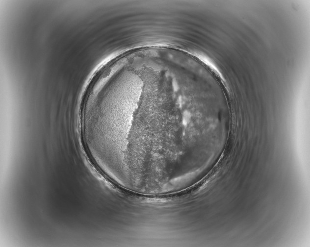 X0000084541088200703161623