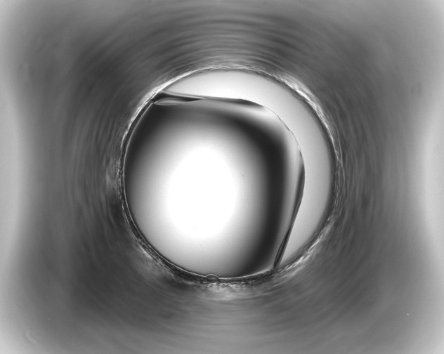 X0000084541089200703161623