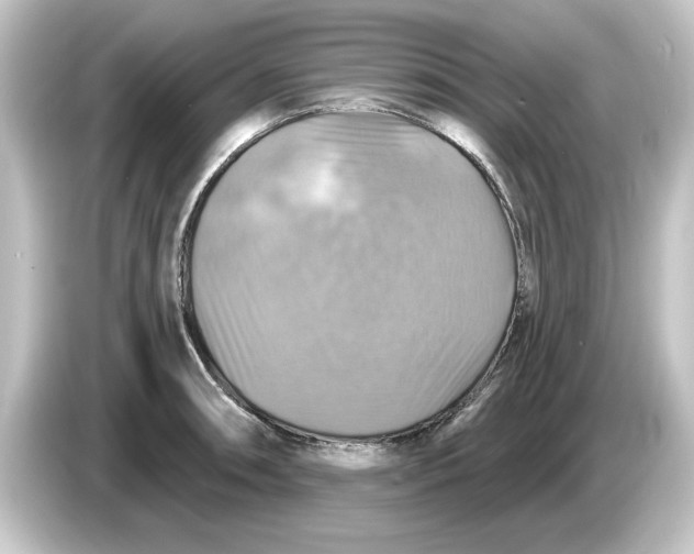 X0000084541090200703161623