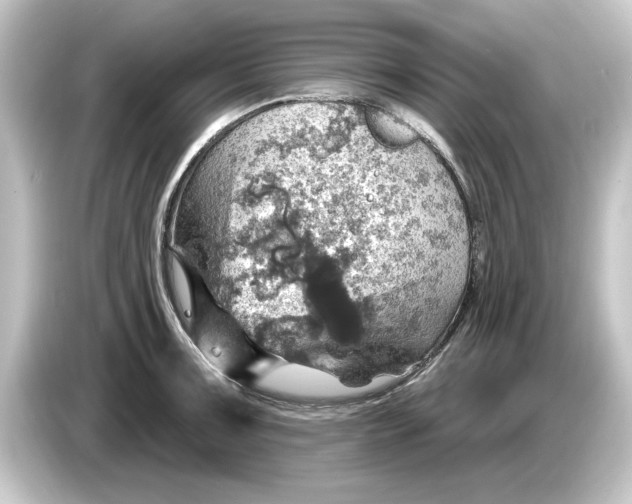 X0000084541091200703161623