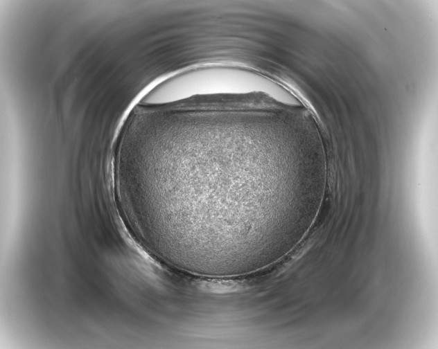 X0000084541092200703161623