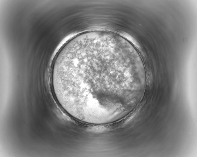 X0000084541094200703161623