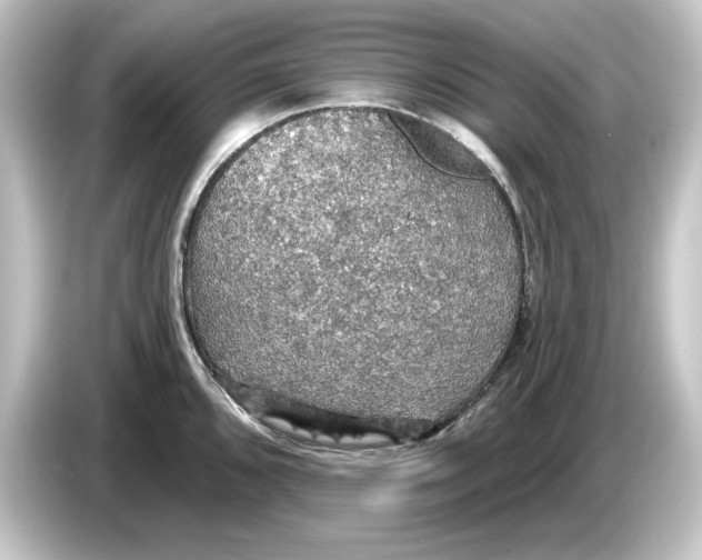 X0000084541096200703161623