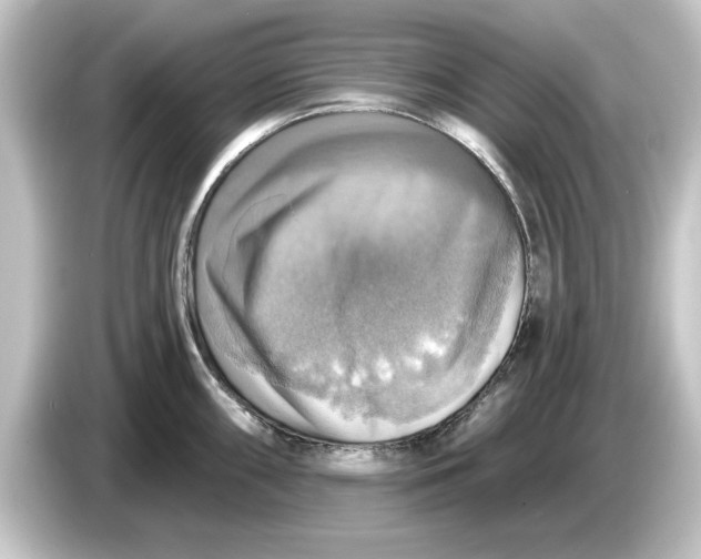 X0000084541098200703161623