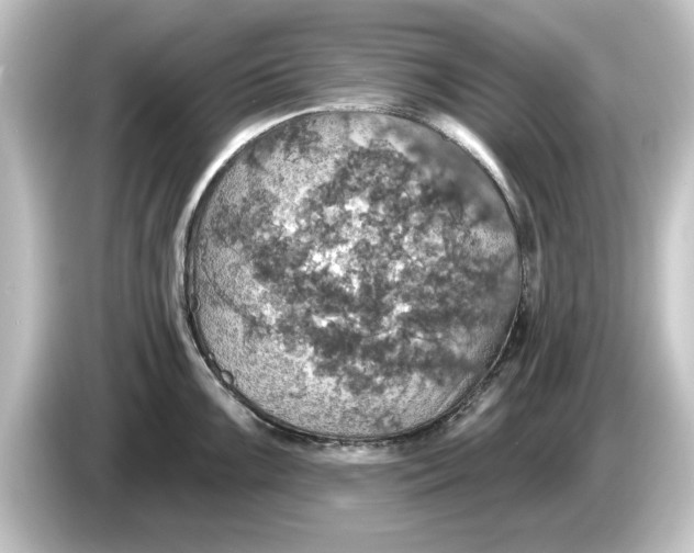 X0000084541099200703161623