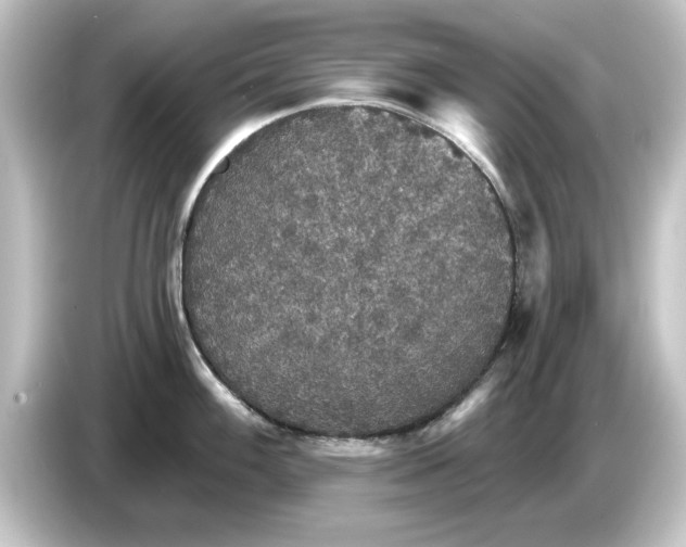 X0000084541100200703161623