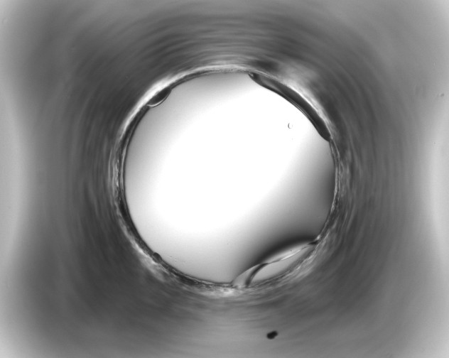 X0000084541101200703161623