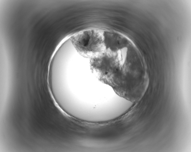 X0000084541103200703161623