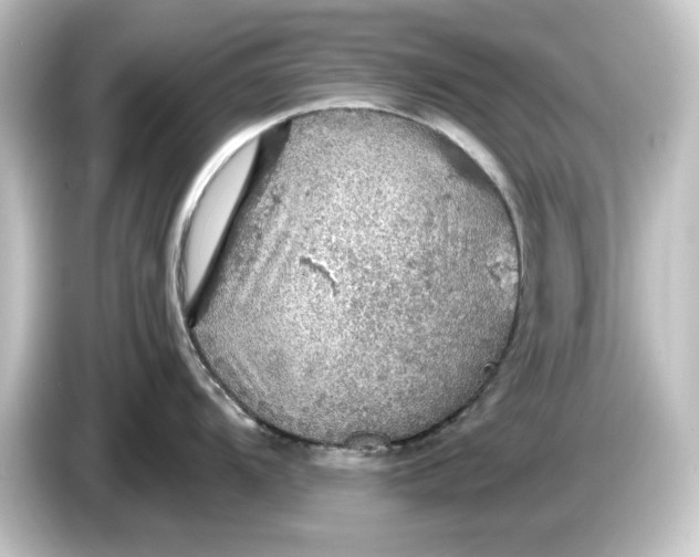 X0000084541104200703161623