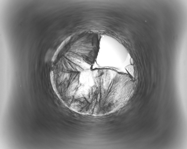 X0000084541105200703161622