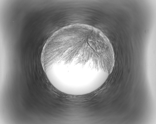 X0000084541106200703161622