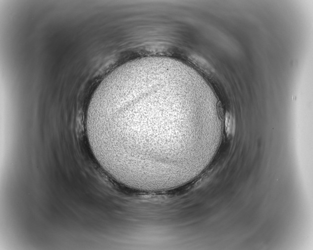 X0000084541107200703161622