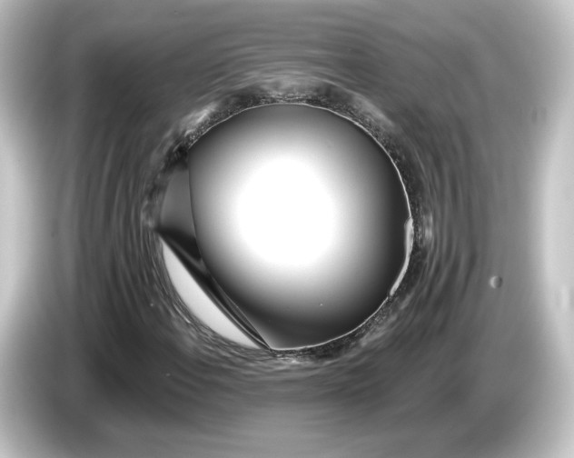 X0000084541108200703161622