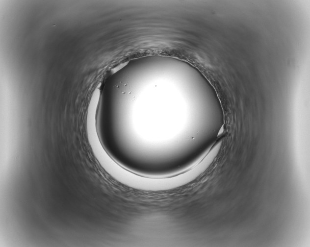 X0000084541109200703161622