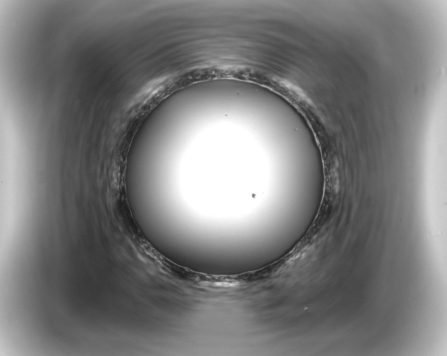 X0000084541110200703161622