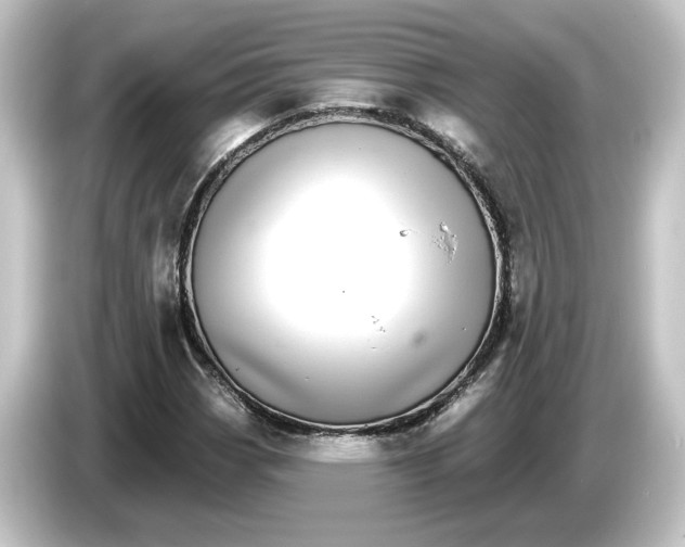 X0000084541113200703161622