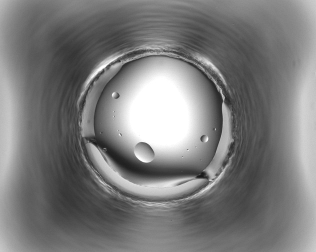 X0000084541114200703161622