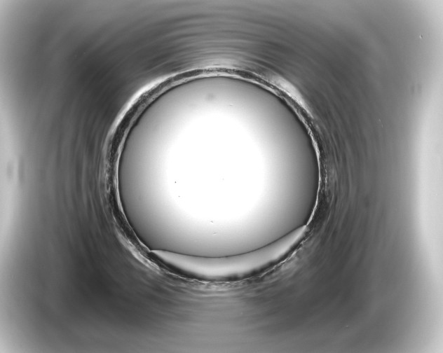 X0000084541116200703161622