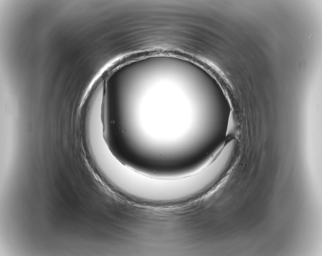 X0000084541118200703161622