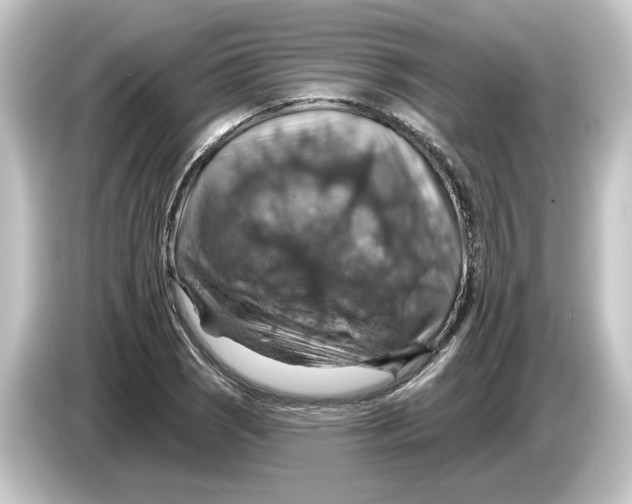 X0000084541121200703161623